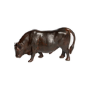 Toro Bravo