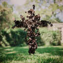 Cruz de Flores