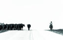West: The American Cowboy Book by Anouk Masson Krantz
