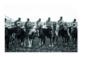 West: The American Cowboy Book by Anouk Masson Krantz