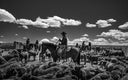 Ranchland Book by Anouk Masson Krantz