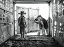 American Cowboys Book by Anouk Masson Krantz