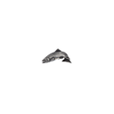 Hat Pin 1805 Jumping Trout