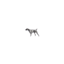 Hat Pin 1819 Shorthair Pointer