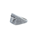 Ring 1801 Longhorn