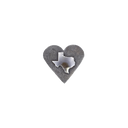 Slide 1502 Texas Heart