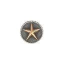 Slide 1855 Sterling with Gold Star