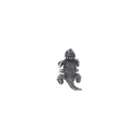 Slide 1900 Sterling Horned Toad