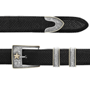 Taylor 1809 Gold Star Buckle Set