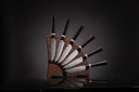 Ebony Kultro Gourmet Steak Knife Set with Black Walnut Display